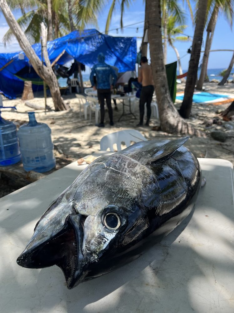 Camp life Pacific Panama
