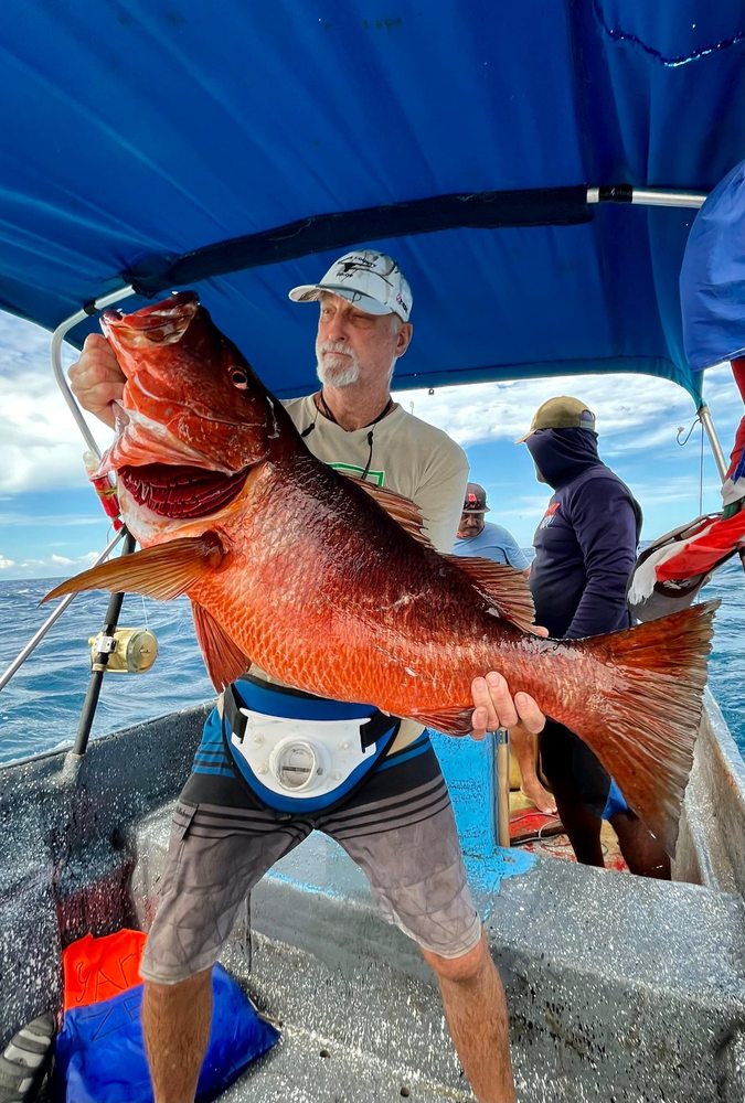 Monster cubera snapper Panama