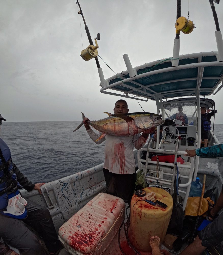 Fresh Pacific catch Panama