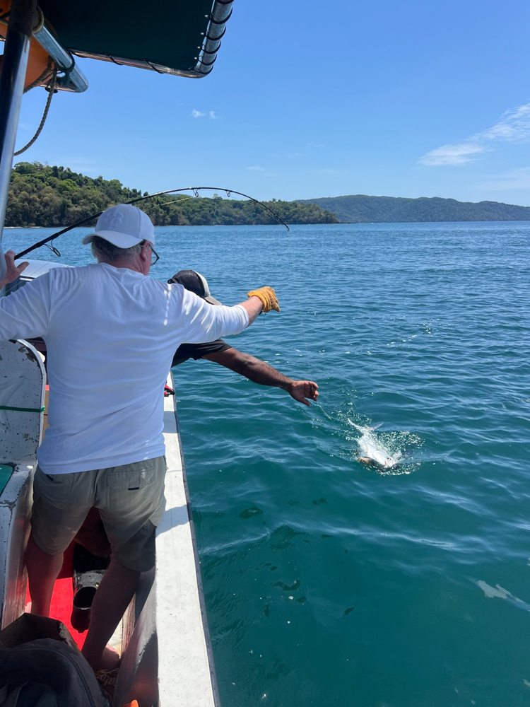 Roosterfish Pacific Panama