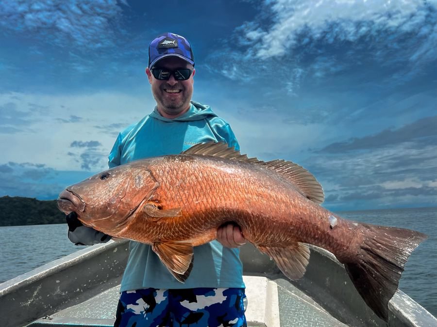 Cubera Snapper