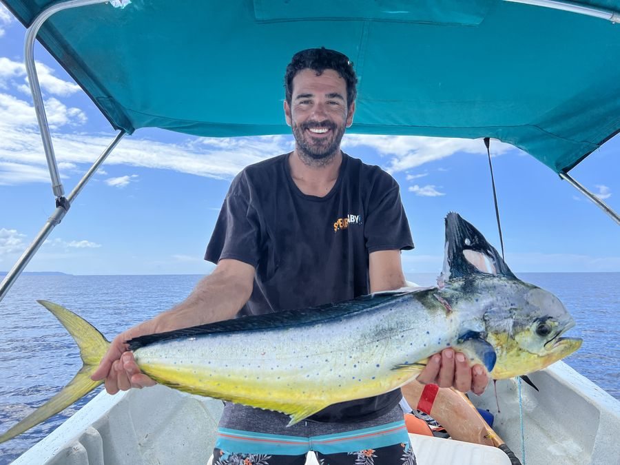 Dorado Mahi-Mahi