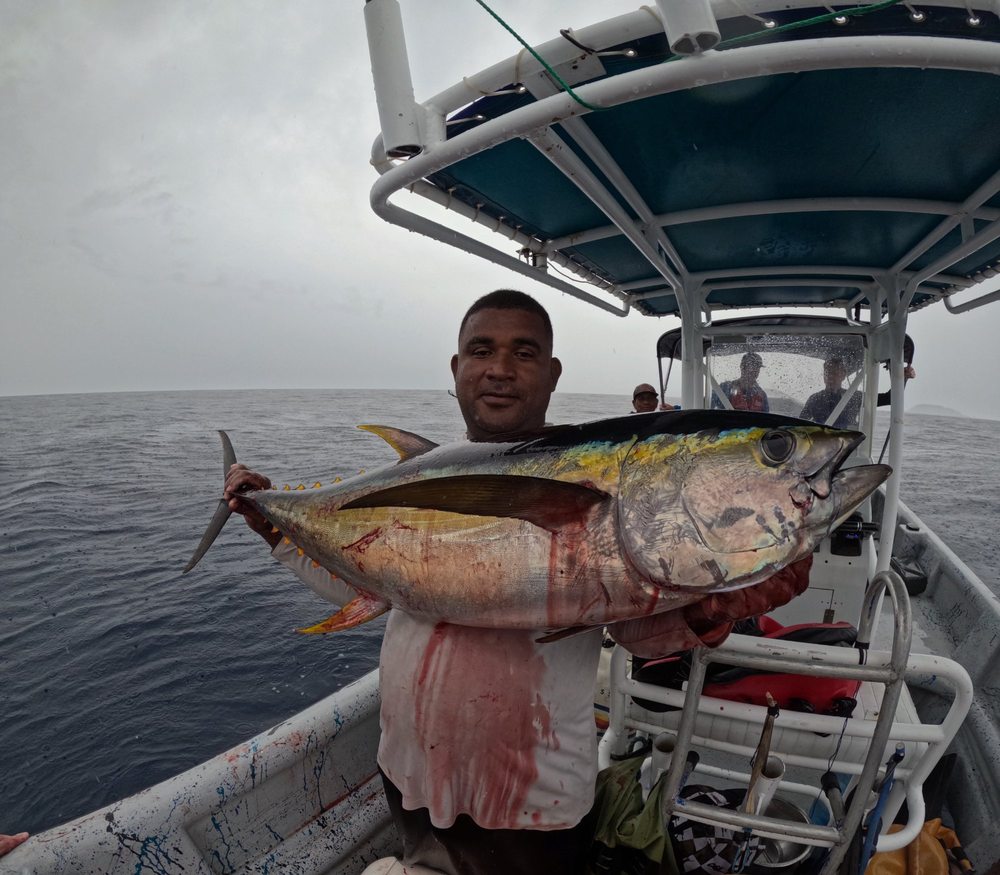 Yellowfin tuna fishing Panama
