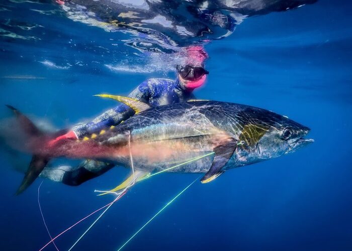Spearfishing the wild Pacific Panama