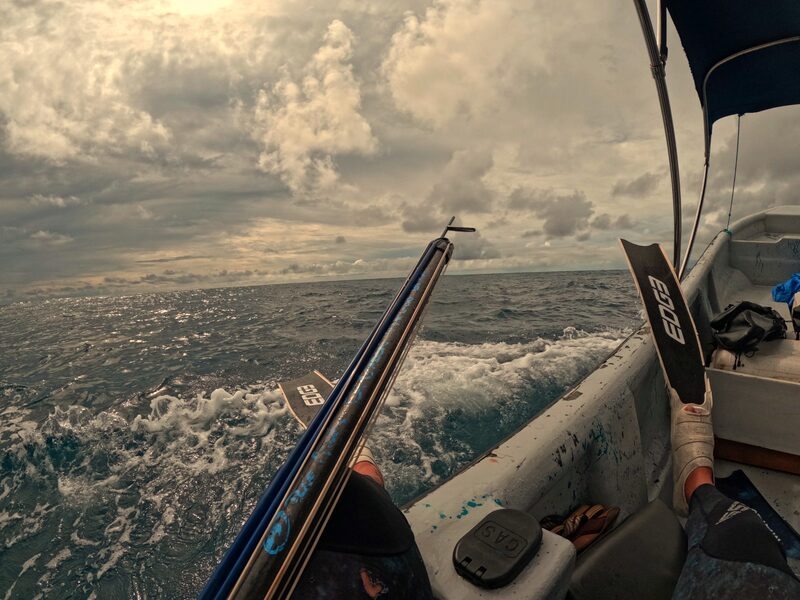 Spearfishing underwater Panama