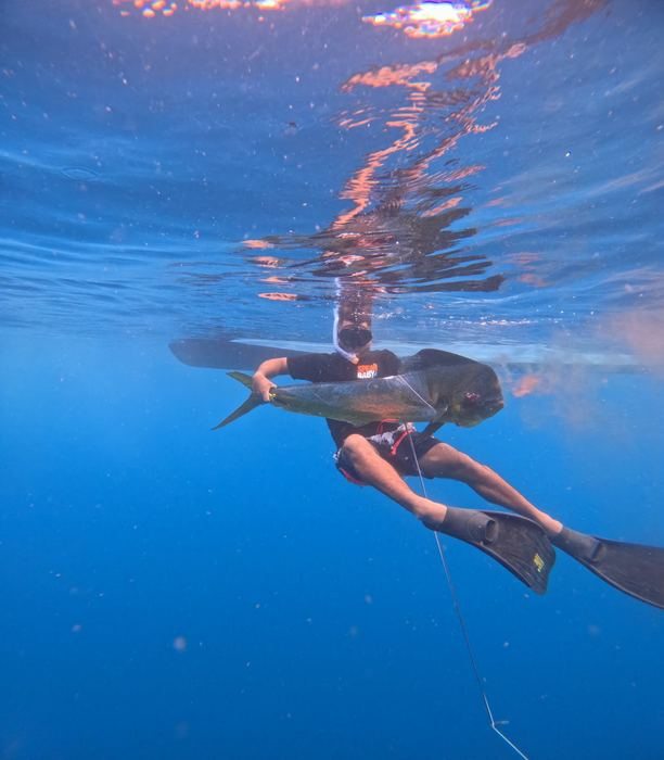 Big fish Pacific Panama