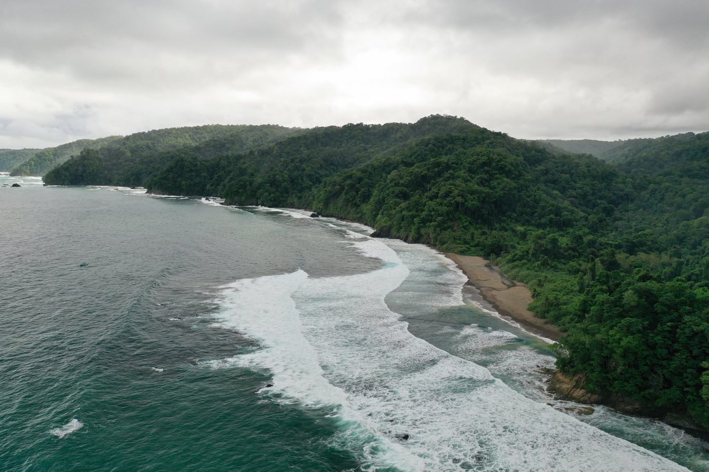 Surfer Panama Pacific