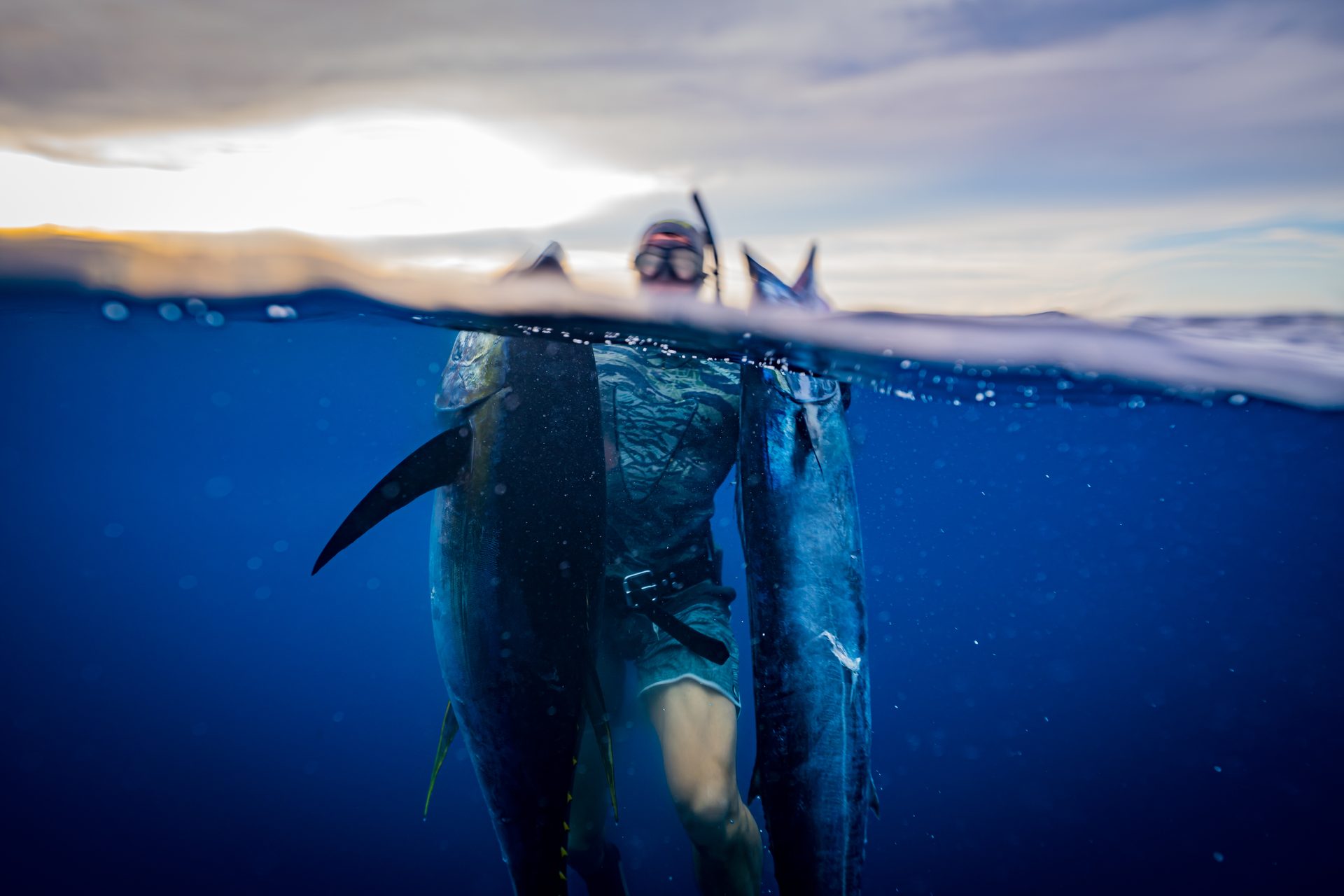 Spearfisher at the surface with yellowfin tuna and wahoo, Pacific Panama